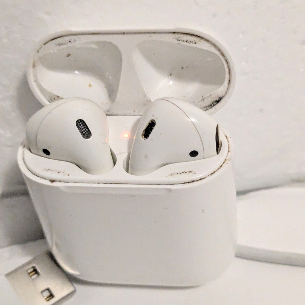 Apple White Earbuds with Charging Case N Charging Cable 2gn